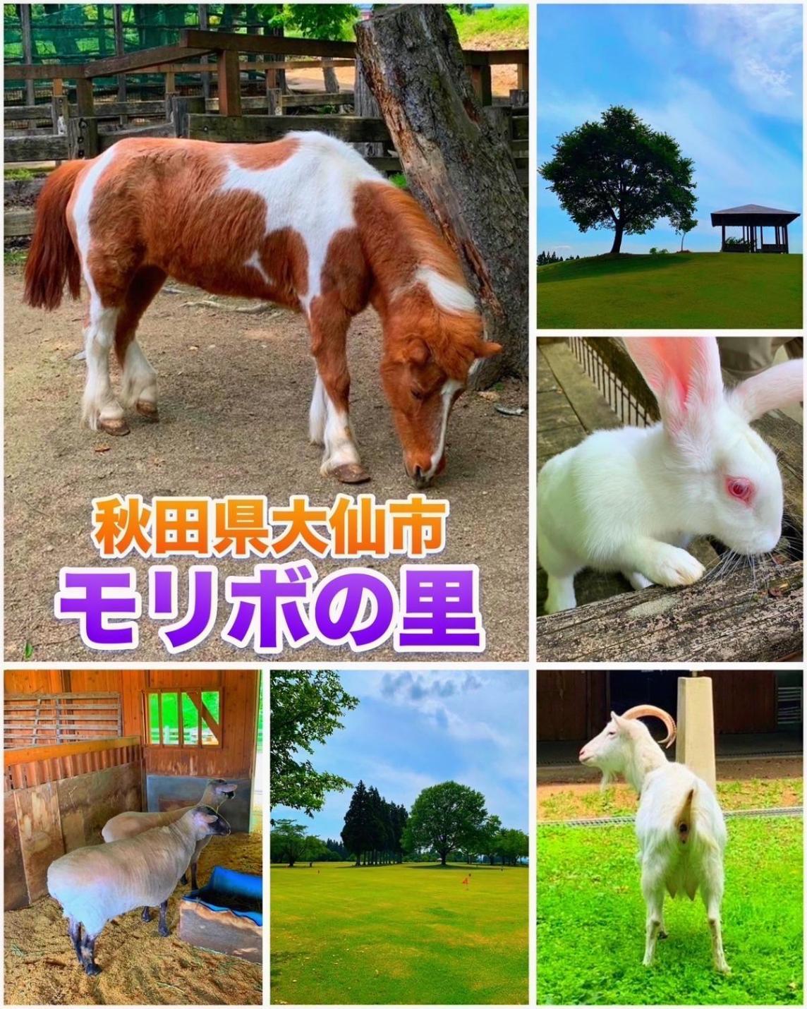 Hotel Dolphia-Adult Only Daisen  ภายนอก รูปภาพ