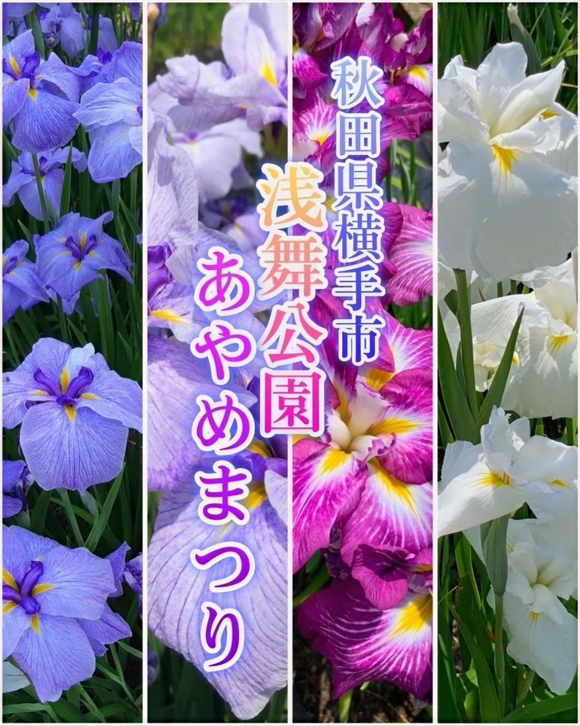 Hotel Dolphia-Adult Only Daisen  ภายนอก รูปภาพ
