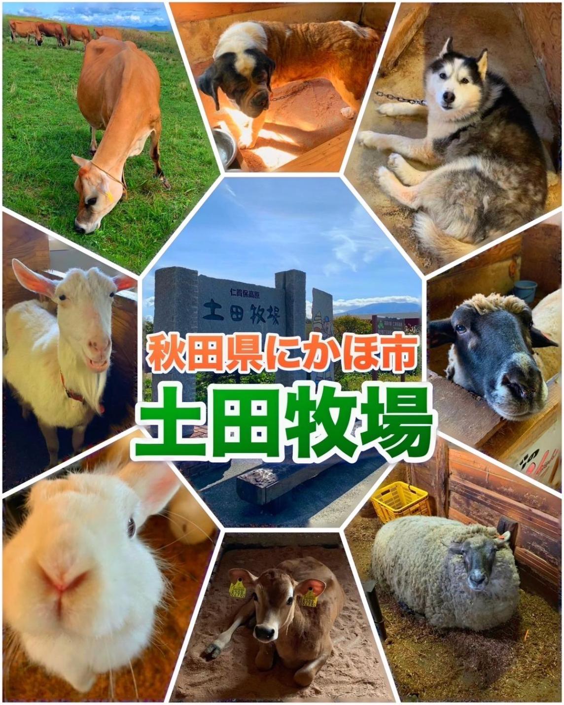 Hotel Dolphia-Adult Only Daisen  ภายนอก รูปภาพ