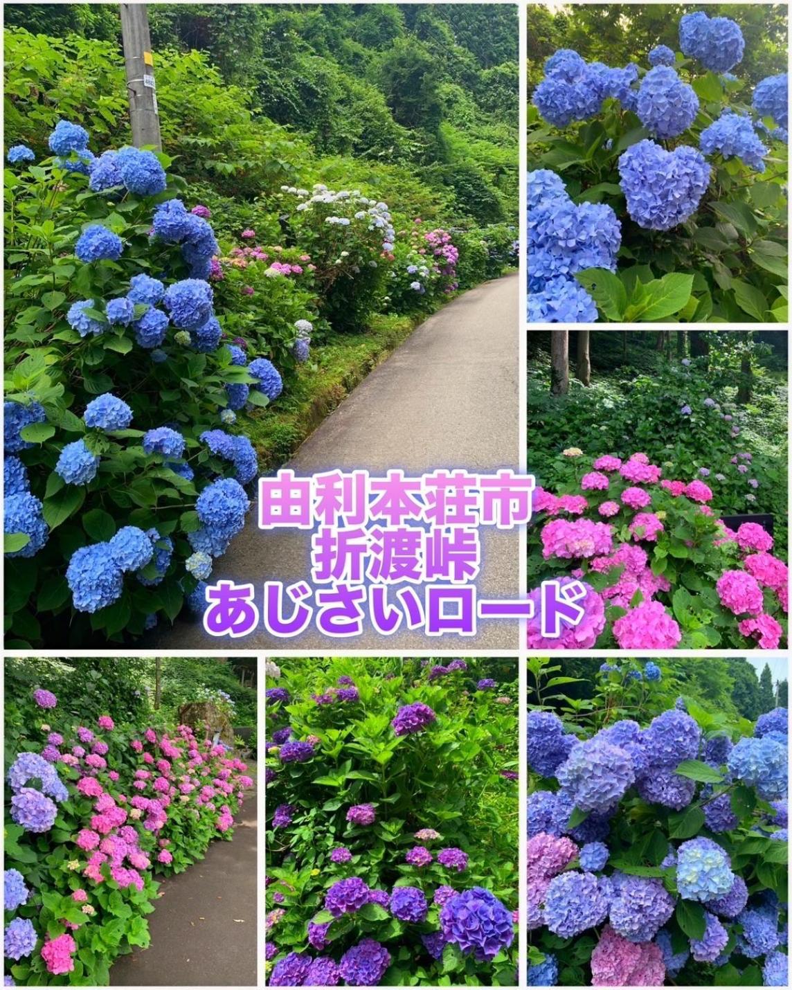Hotel Dolphia-Adult Only Daisen  ภายนอก รูปภาพ