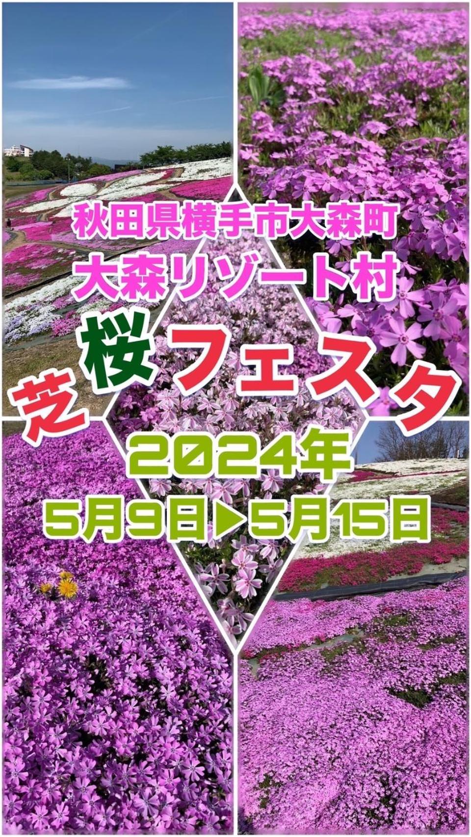 Hotel Dolphia-Adult Only Daisen  ภายนอก รูปภาพ